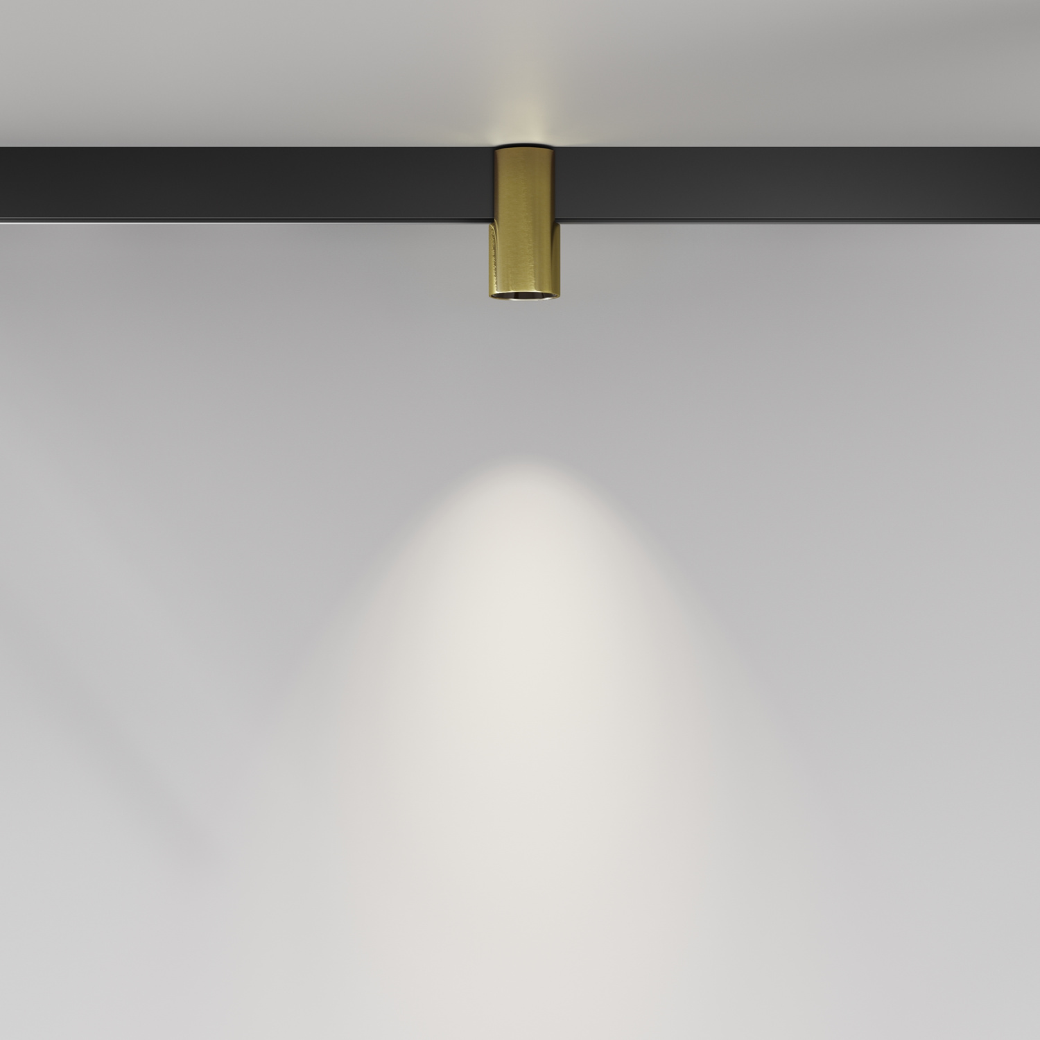 Maytoni Technical Alfa Трековый светильник цвет: латунь TR122-2-7W4K-BS
