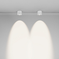 Maytoni Technical Lens Потолочный светильник цвет: белый C217CL-15W4K-W