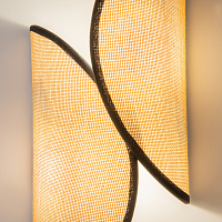 Maytoni Modern Organic Настенный светильник (бра) цвет: черный MOD225WL-02B2