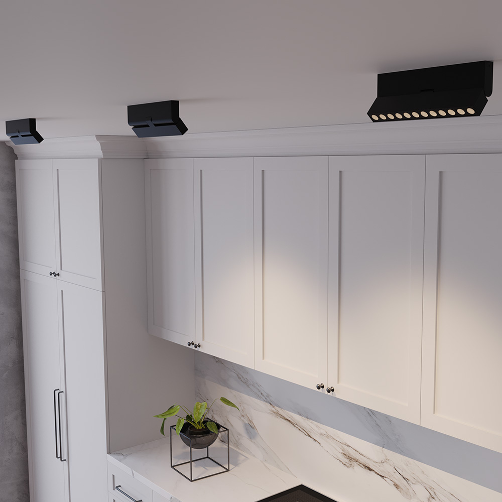 Maytoni Technical Points rot Потолочный светильник цвет: черный C136CL-12W4K-B