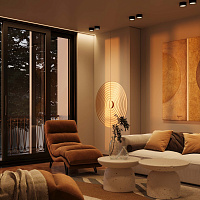 Maytoni Technical Glare Потолочный светильник цвет: черный C091CL-12W3K-B