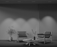 Maytoni Technical Points Трековый светильник цвет: черный TR031-2-12W4K-B