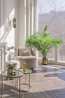 Maytoni Modern Antic Настенный светильник (бра) цвет: золото MOD302WL-01GR