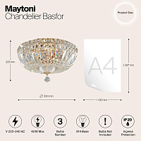 Maytoni Classic Basfor Люстра цвет: золото DIA100-CL-03-G