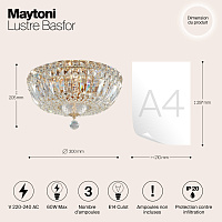 Maytoni Classic Basfor Люстра цвет: золото DIA100-CL-03-G