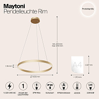 Maytoni Modern Rim Подвесной светильник цвет: латунь MOD058PL-L32BS4K