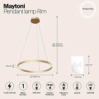 Maytoni Modern Rim Подвесной светильник цвет: латунь MOD058PL-L32BS4K