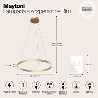 Maytoni Modern Rim Подвесной светильник цвет: латунь MOD058PL-L32BS4K