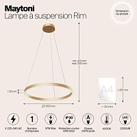 Maytoni Modern Rim Подвесной светильник цвет: латунь MOD058PL-L32BS4K