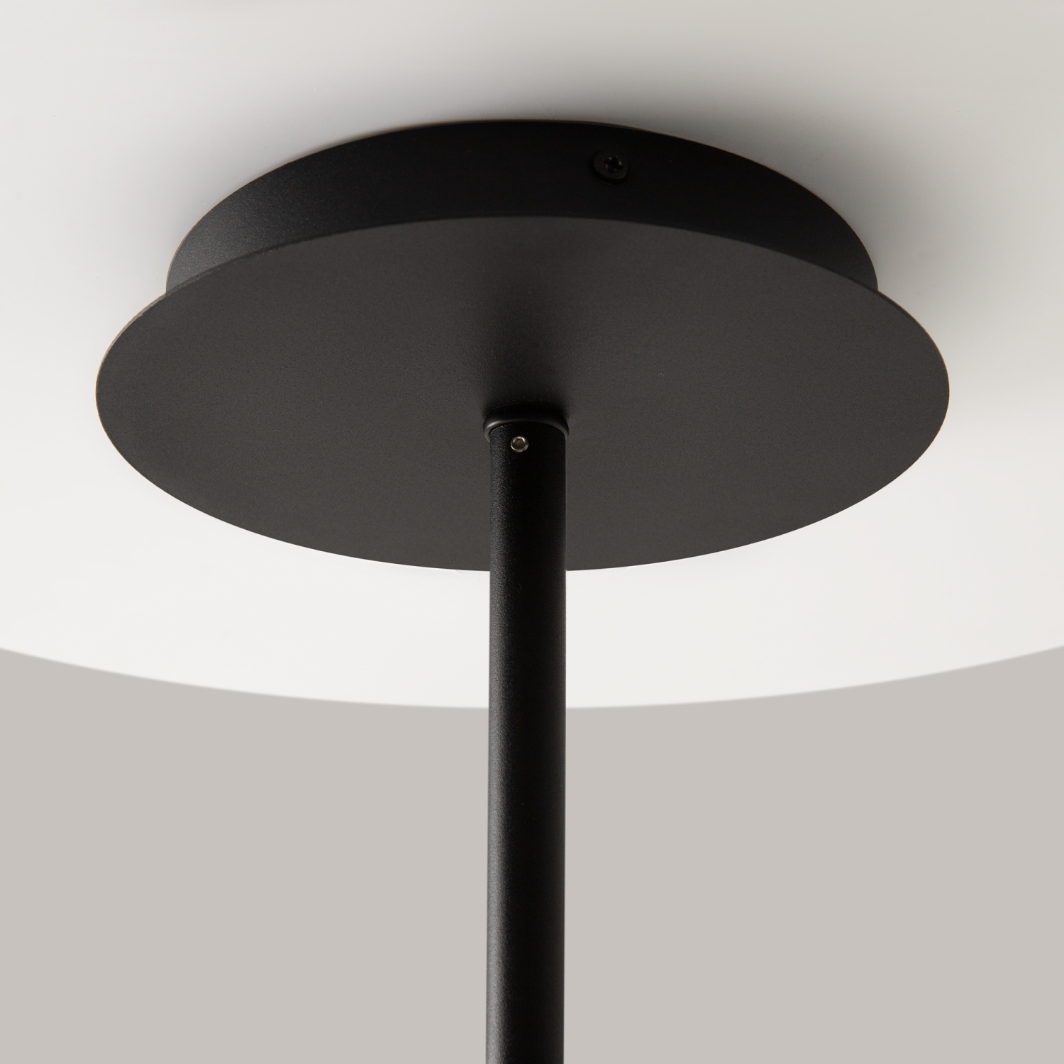 Maytoni Modern Mollis Люстра цвет: черный MOD126PL-08B