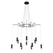 Maytoni Modern Davida Подвесной светильник цвет: черный MOD035PL-12B