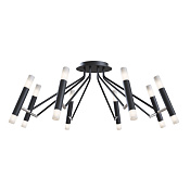 Maytoni Modern Vigo Потолочный светильник цвет: черный MOD620CL-16B