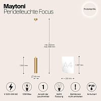 Maytoni Technical Focus Подвесной светильник цвет: матовое золото P075PL-01MG