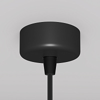 Maytoni Technical Focus Design Подвесной светильник цвет: черный P038PL-01B