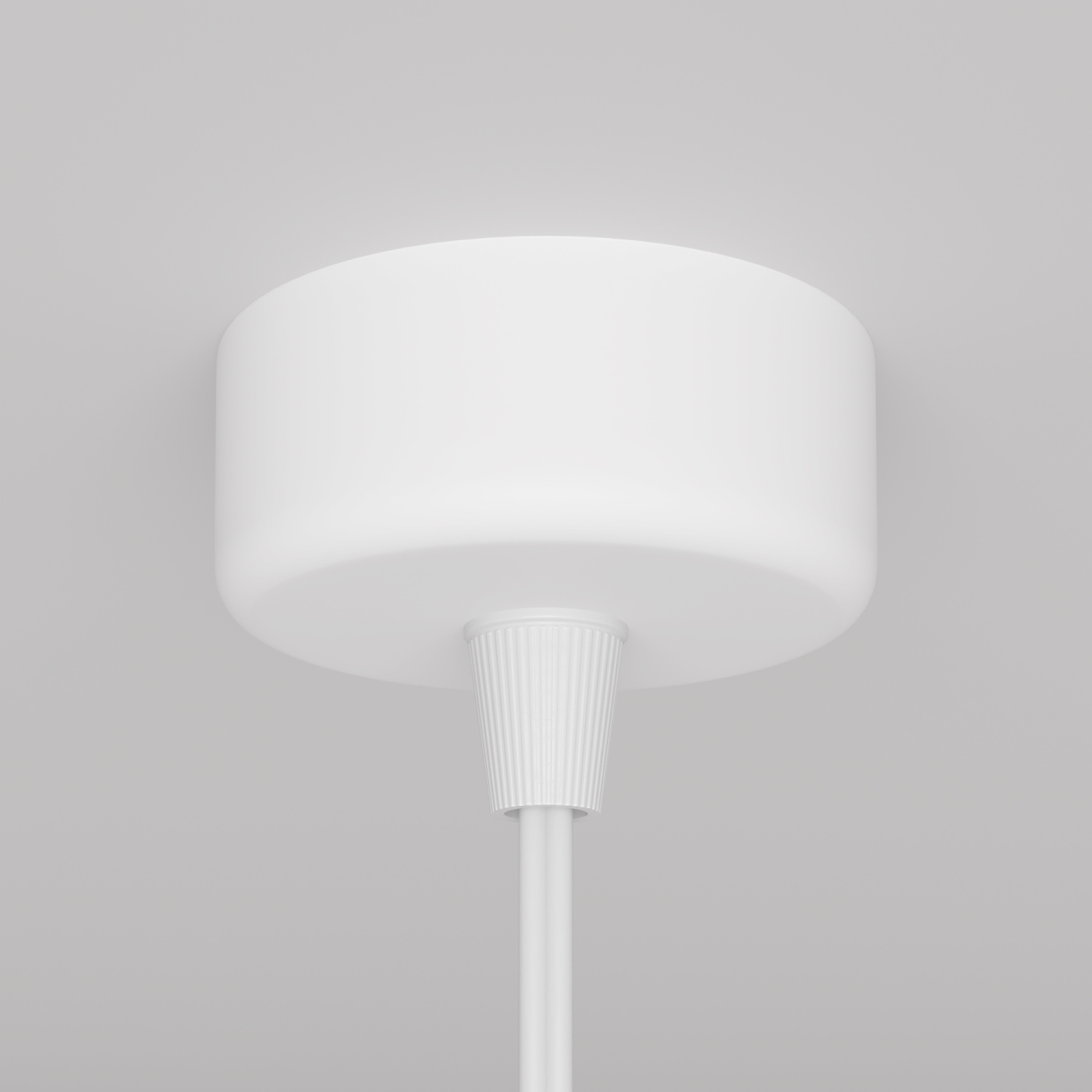 Maytoni Technical Focus Design Подвесной светильник цвет: белый P038PL-01W