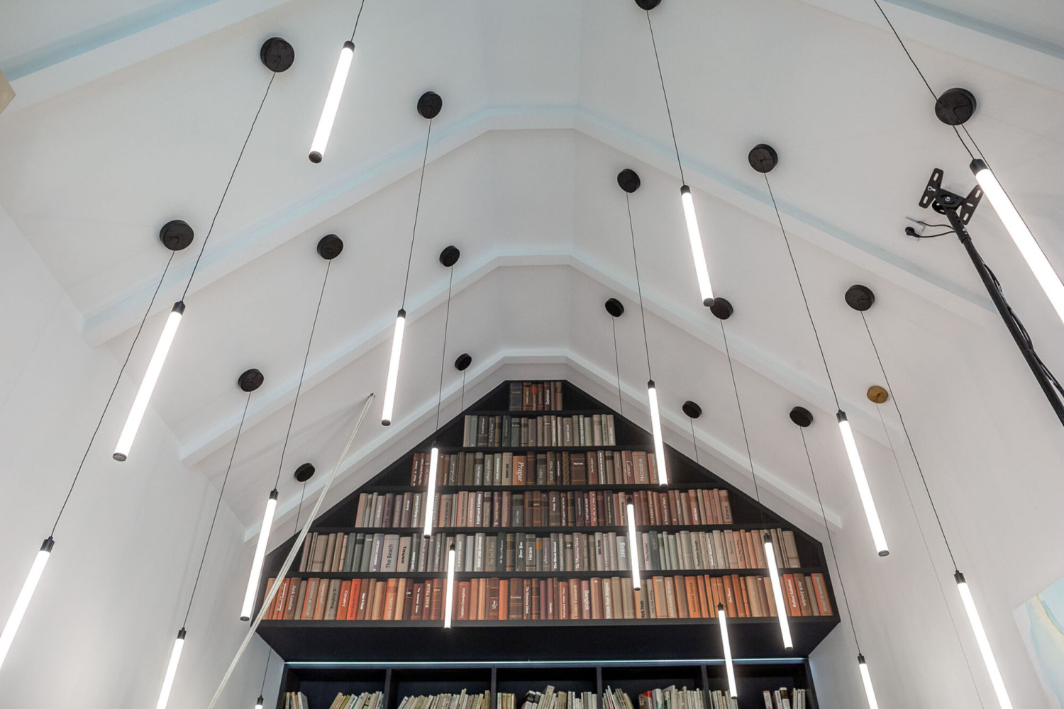 Maytoni Technical Ray Подвесной светильник цвет: черный P021PL-L10B