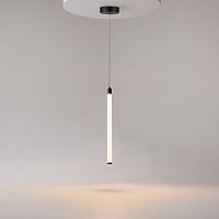 Maytoni Technical Ray Подвесной светильник цвет: черный P021PL-L10B