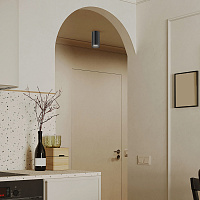 Maytoni Technical FOCUS S Потолочный светильник цвет: черный C052CL-01B