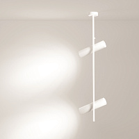 Maytoni Technical Elti Потолочный светильник цвет: белый C021CL-02W