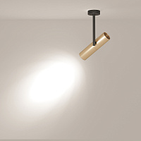 Maytoni Technical Elti Потолочный светильник цвет: черный с золотом C020CL-01GB