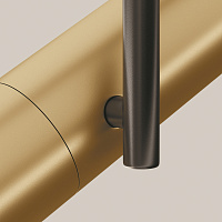 Maytoni Technical Elti Потолочный светильник цвет: черный с золотом C020CL-01GB