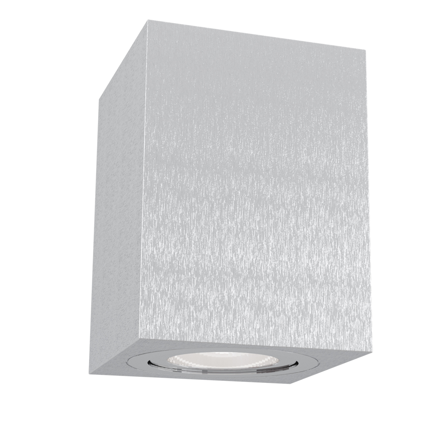 Maytoni Technical Alfa Потолочный светильник цвет: серебро C017CL-01S