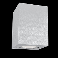 Maytoni Technical Alfa Потолочный светильник цвет: серебро C017CL-01S