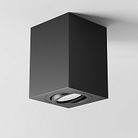 Maytoni Technical Atom Потолочный светильник цвет: черный C017CL-01B