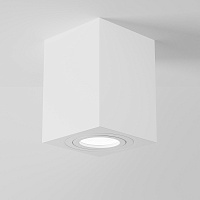 Maytoni Technical Atom Потолочный светильник цвет: белый C017CL-01W