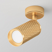 Maytoni Technical Focus Design Потолочный светильник цвет: матовое золото C034CL-01G