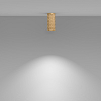 Maytoni Technical Focus Design Потолочный светильник цвет: матовое золото C036CL-01G