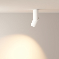 Maytoni Technical Dafne Потолочный светильник цвет: белый C027CL-L10W