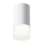 Maytoni Technical Pauline Потолочный светильник цвет: белый C007CW-01W