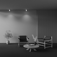 Maytoni Technical Pauline Потолочный светильник цвет: белый C007CW-01W