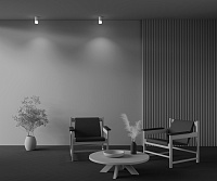 Maytoni Technical Pauline Потолочный светильник цвет: белый C007CW-01W