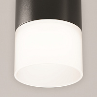 Maytoni Technical Pauline Потолочный светильник цвет: черный C007CW-01B