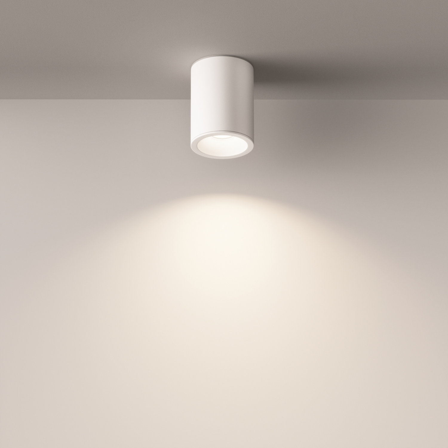 Maytoni Technical Zoom Потолочный светильник цвет: белый C029CL-01W