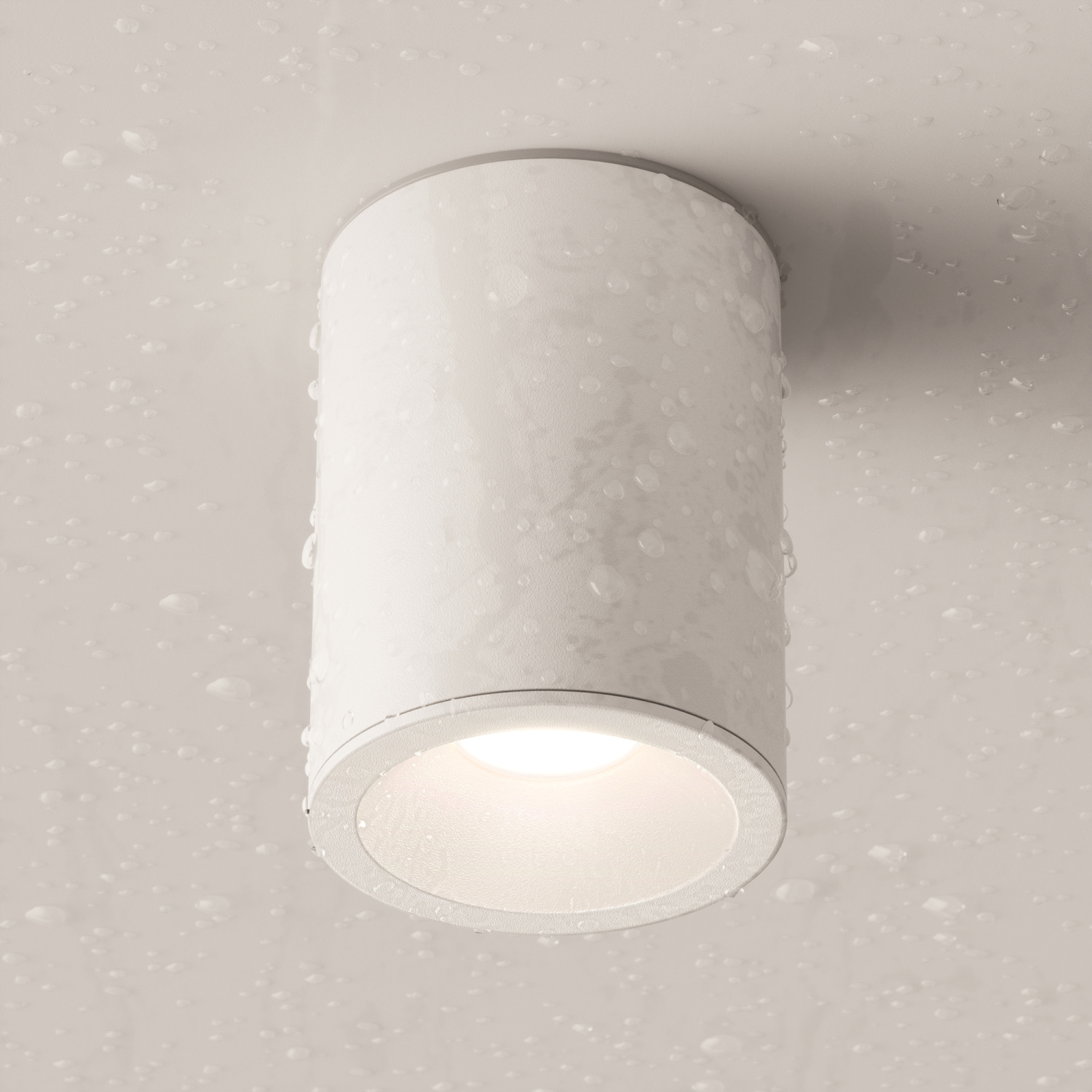 Maytoni Technical Zoom Потолочный светильник цвет: белый C029CL-01W