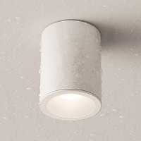 Maytoni Technical Zoom Потолочный светильник цвет: белый C029CL-01W