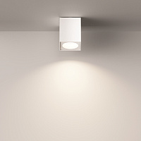 Maytoni Technical Zoom Потолочный светильник цвет: белый C030CL-01W