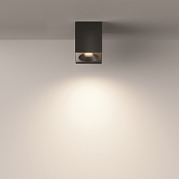 Maytoni Technical Zoom Потолочный светильник цвет: черный C030CL-01B