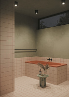 Maytoni Technical Zoom Потолочный светильник цвет: черный C030CL-01B