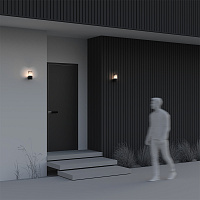 Maytoni Outdoor Piccadilly Настенный светильник (бра) цвет: черный O016WL-01B