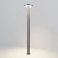 Maytoni Outdoor Wald Ландшафтный светильник цвет: графит O420FL-L12GF1