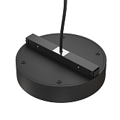 Maytoni Technical Power Supply Basity Блок питания цвет: черный TRA172DR- 200W-DD-B