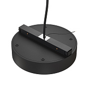 Maytoni Technical Power Supply Basity Блок питания цвет: черный TRA172DR- 200W-DS-B