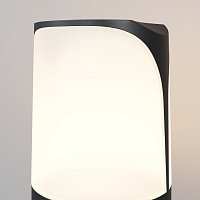 Maytoni Outdoor Piccadilly Ландшафтный светильник цвет: черный O017FL-01B