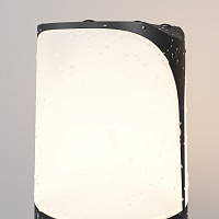 Maytoni Outdoor Piccadilly Ландшафтный светильник цвет: черный O018FL-01B