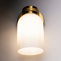 Freya Modern Kamelia Настенный светильник (бра) цвет: латунь FR5446WL-01BS