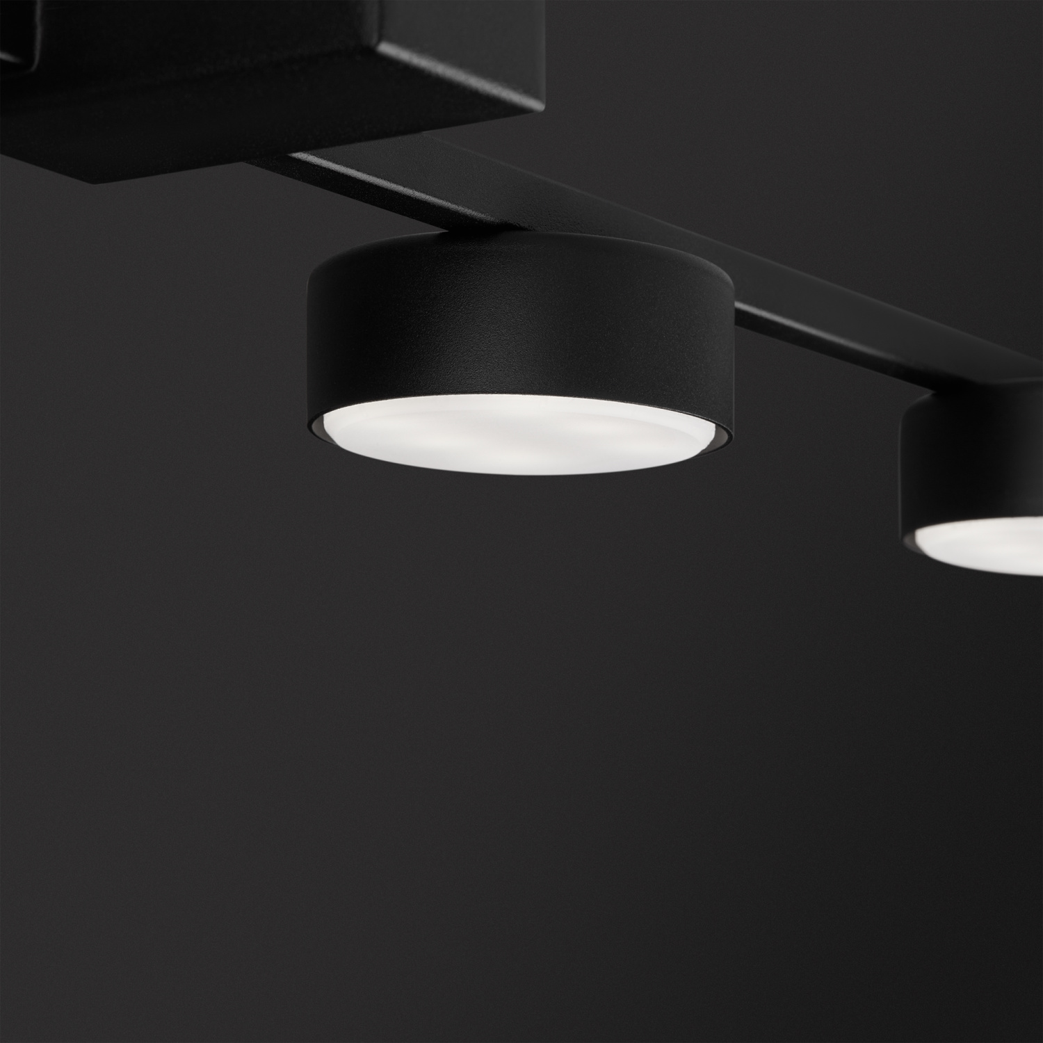 Freya Modern Tactic Потолочный светильник цвет: черный FR5363CL-03B